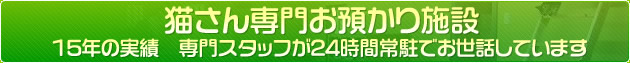 猫さん専門お預かり施設